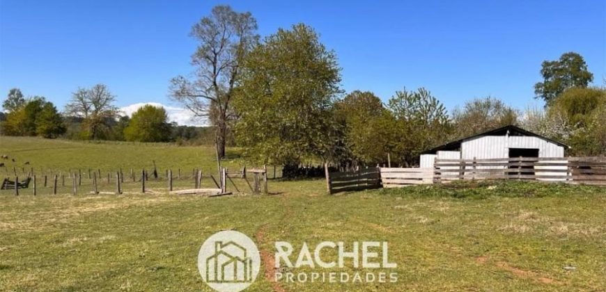 EN VENTA PRECIOSO CAMPOS A ORILLA DE CARRETERA SECTOR HUICHAHUE