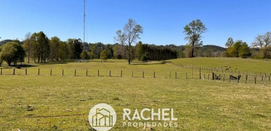 EN VENTA PRECIOSO CAMPOS A ORILLA DE CARRETERA SECTOR HUICHAHUE