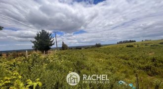 EN VENTA PARCELA EN SECTOR TRAÑI- TRAÑI