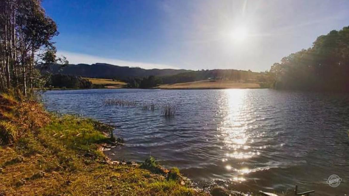 ¡Parcela de media hectárea en Pumalal, IX Región! ¡Parcela de media hectárea en Pumalal, IX Región!