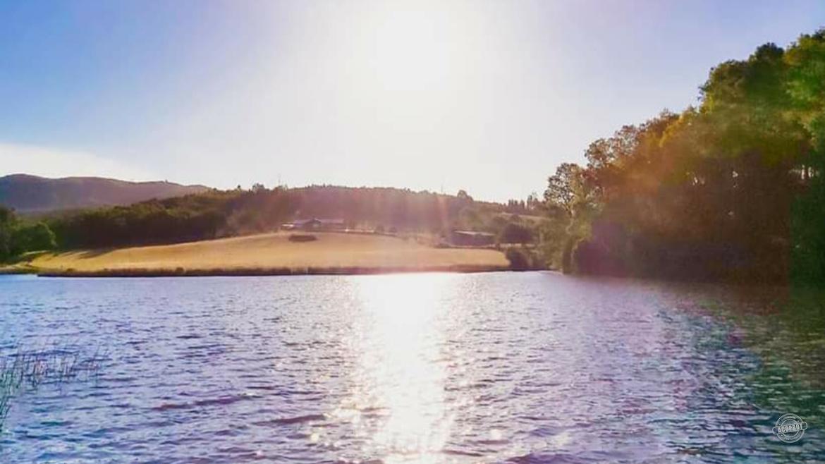 ¡Parcela de media hectárea en Pumalal, IX Región! ¡Parcela de media hectárea en Pumalal, IX Región!