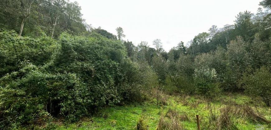 ¡Vendemos Parcela en Condominio Huichahue!