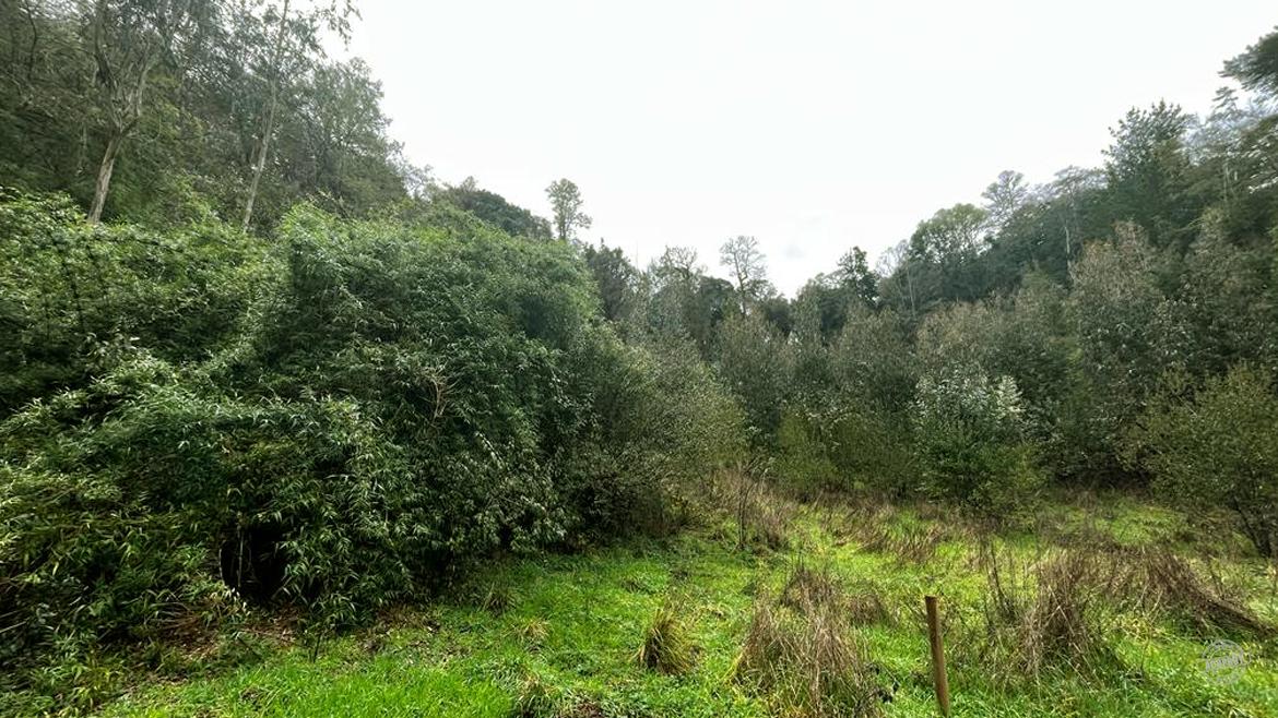 ¡Vendemos Parcela en Condominio Huichahue! ¡Vendemos Parcela en Condominio Huichahue!