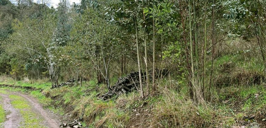 ¡Vendemos Parcela en Condominio Huichahue!
