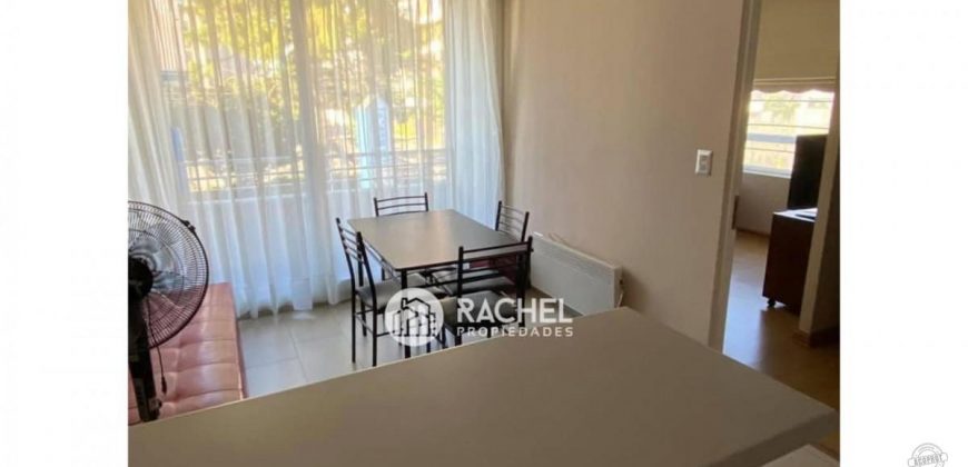 SE ARRIENDA DEPARTAMENTO DE 1 DORM CON ESTACIONAMIENTO Y BODEGA