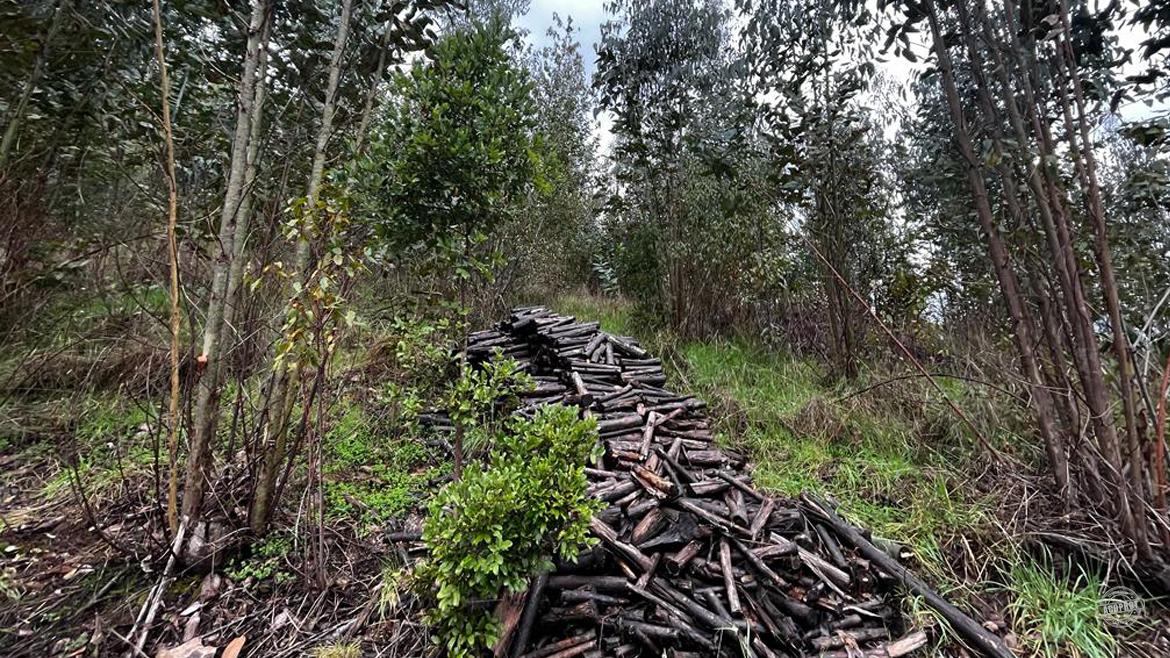 ¡Vendemos Parcela en Condominio Huichahue! ¡Vendemos Parcela en Condominio Huichahue!