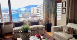 Vendemos amplio departamento dúplex a pasos de la Av. Alemania