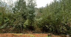 ¡Vendemos Parcela en Condominio Huichahue!
