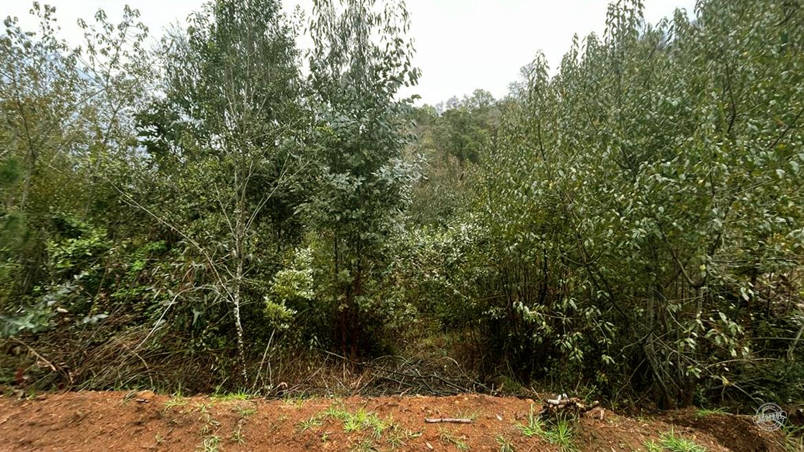 ¡Vendemos Parcela en Condominio Huichahue! ¡Vendemos Parcela en Condominio Huichahue!