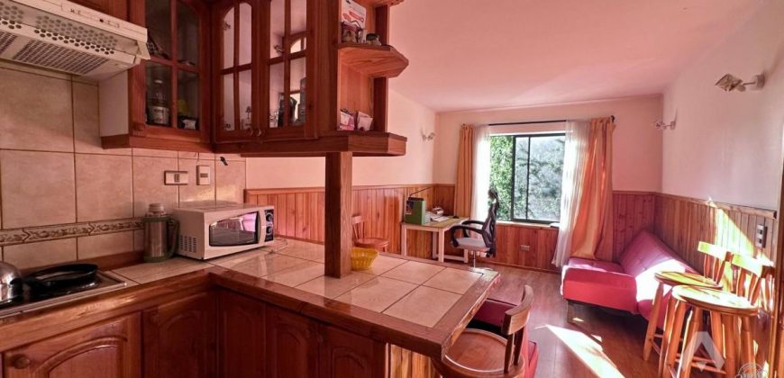 Departamento de un dormitorio en venta en Pucón