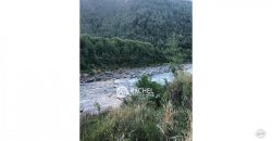 VENTA DE 3 HERMOSAS PARCELAS DE 5300 m² C/U EN RIÑINAHUE