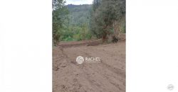 VENTA DE 3 HERMOSAS PARCELAS DE 5300 m² C/U EN RIÑINAHUE