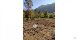 VENTA DE 3 HERMOSAS PARCELAS DE 5300 m² C/U EN RIÑINAHUE