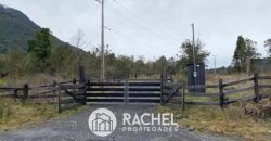 VENTA DE 3 HERMOSAS PARCELAS DE 5300 m² C/U EN RIÑINAHUE