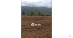 VENTA DE 3 HERMOSAS PARCELAS DE 5300 m² C/U EN RIÑINAHUE