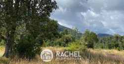 VENTA DE 3 HERMOSAS PARCELAS DE 5300 m² C/U EN RIÑINAHUE
