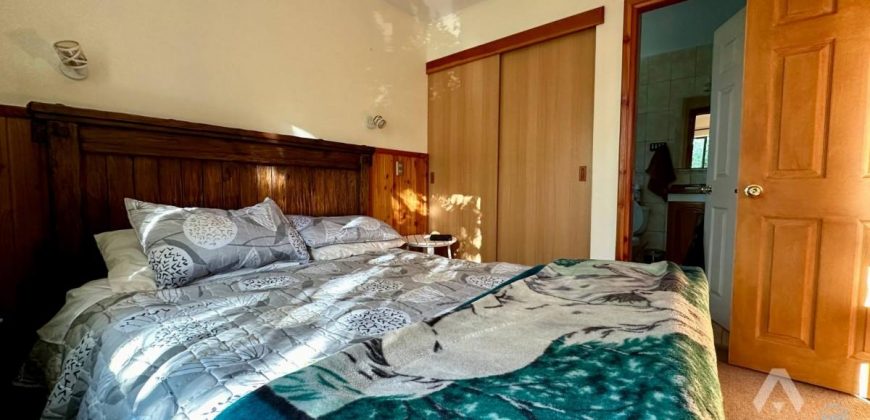 Departamento de un dormitorio en venta en Pucón