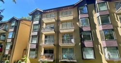 Departamento en venta en Pucón, Condominio Nuevo Parque Suizo