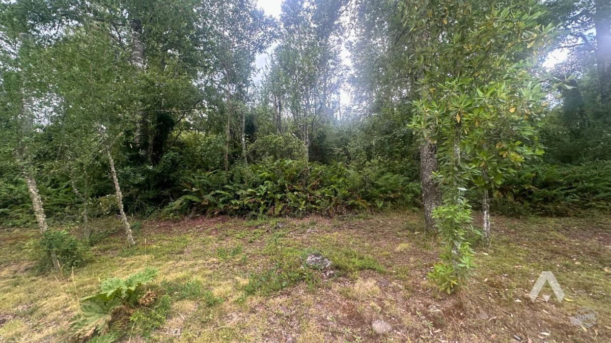 Parcela en venta a 10 minutos de Villarrica