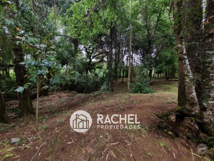 EN VENTA PARCELA CON CASA CAMINO CHOLCHOL