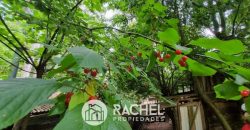 EN VENTA PARCELA CON CASA CAMINO CHOLCHOL