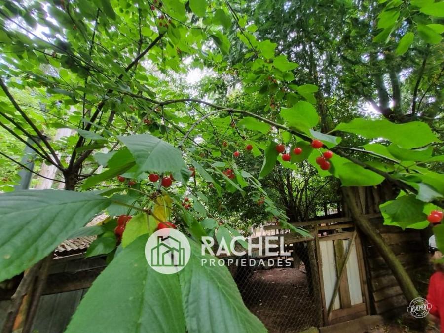 EN VENTA PARCELA CON CASA CAMINO CHOLCHOL