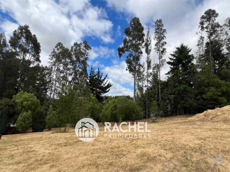 EN VENTA PARCELA CON CASA CAMINO CHOLCHOL