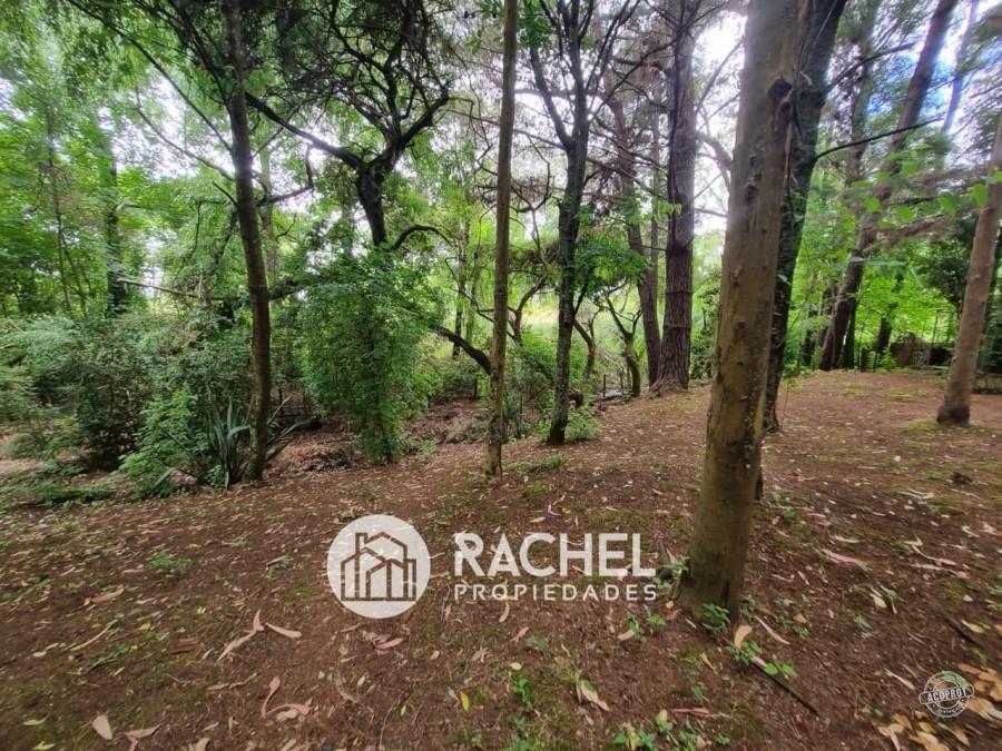 EN VENTA PARCELA CON CASA CAMINO CHOLCHOL