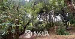 EN VENTA PARCELA CON CASA CAMINO CHOLCHOL