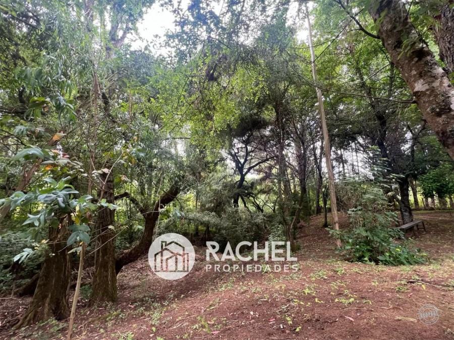 EN VENTA PARCELA CON CASA CAMINO CHOLCHOL