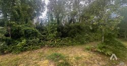 Parcela en venta a 10 minutos de Villarrica