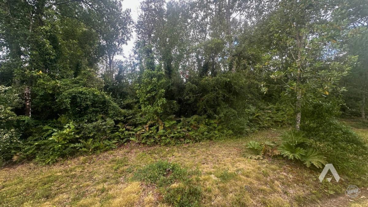 Parcela en venta a 10 minutos de Villarrica