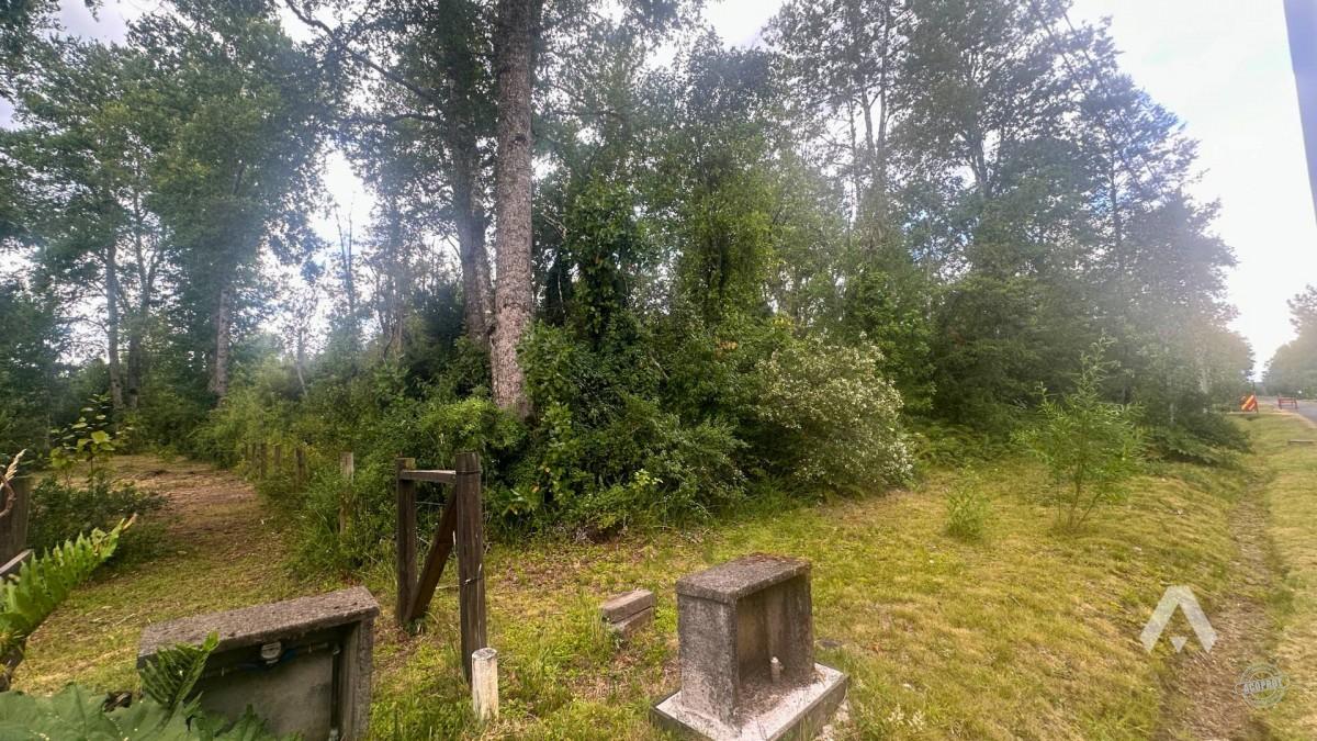 Parcela en venta a 10 minutos de Villarrica