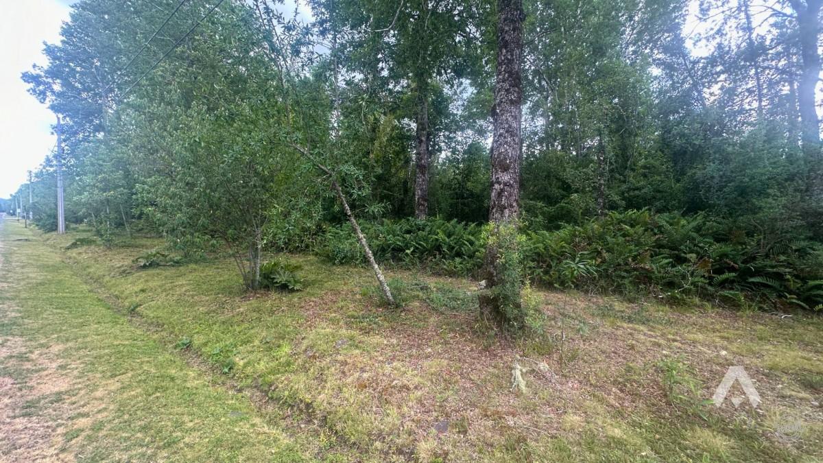 Parcela en venta a 10 minutos de Villarrica