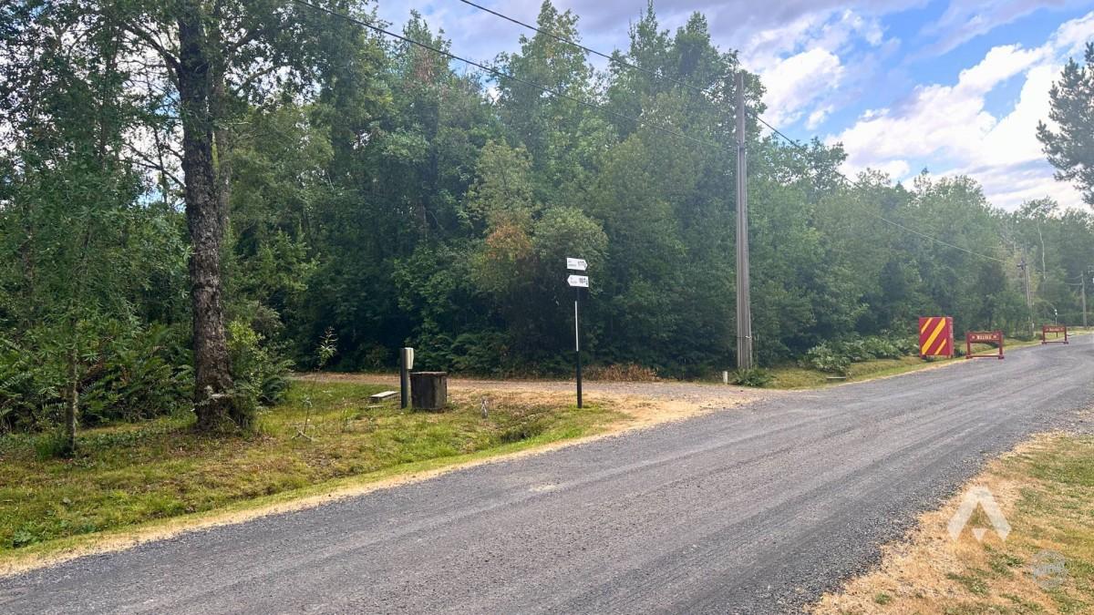 Parcela en venta a 10 minutos de Villarrica