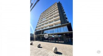 ARRIENDO LNDO DEPARTAMENTO EDIFICIO DOS – K