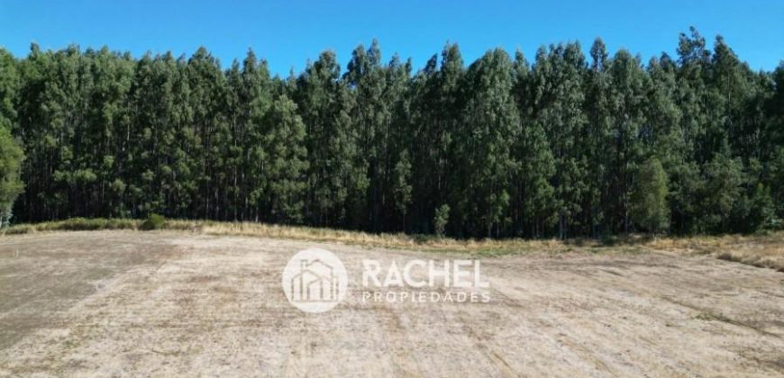SE VENDE HERMOSAS PARCELA EN CONDOMINIO CERRADO
