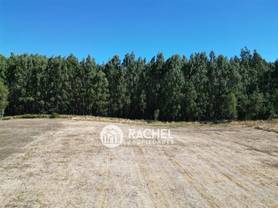 SE VENDE HERMOSAS PARCELA EN CONDOMINIO CERRADO