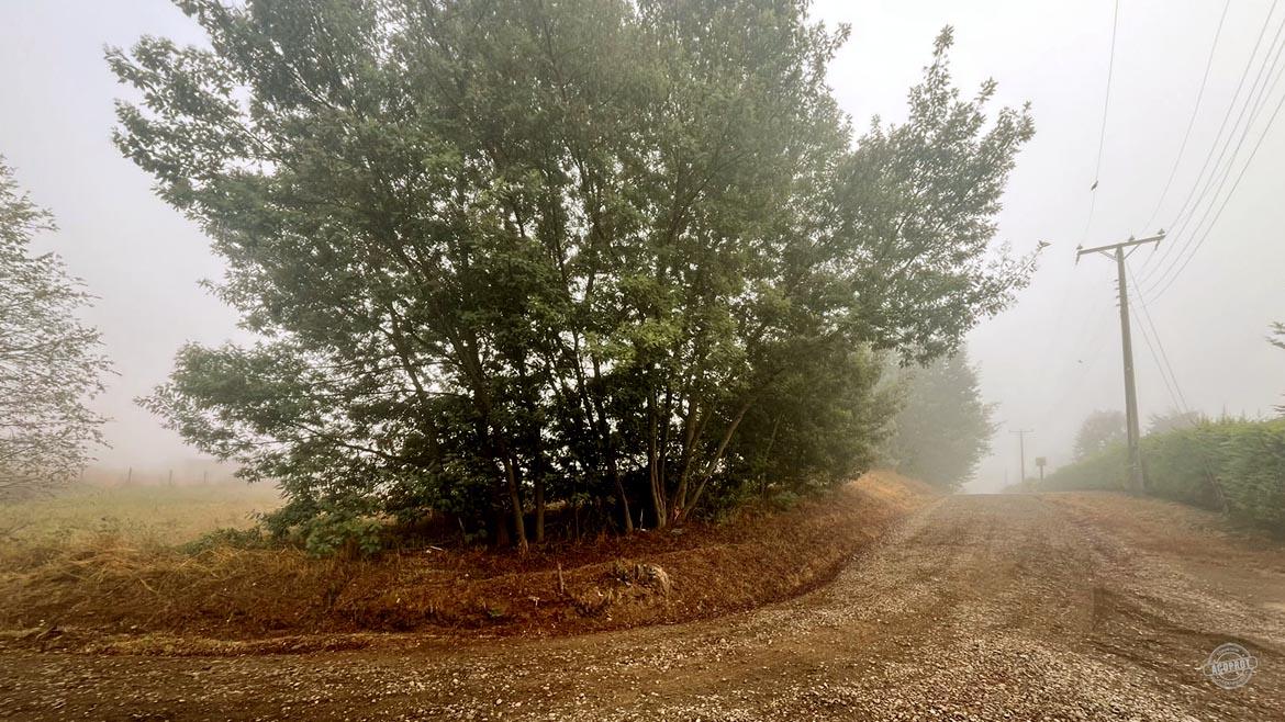 ¡Descubre tu lugar perfecto en Lomas de Chivilcan!