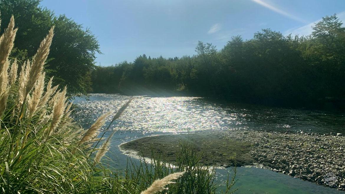 Vendemos maravillosa parcela en Malalcahuello Vendemos maravillosa parcela en Malalcahuello