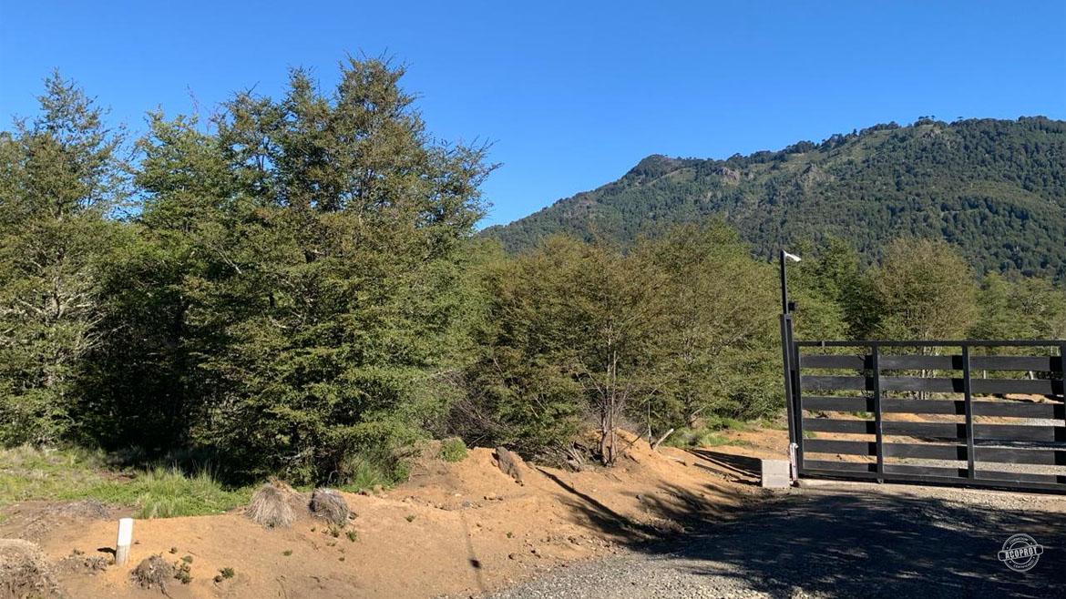 Vendemos maravillosa parcela en Malalcahuello Vendemos maravillosa parcela en Malalcahuello