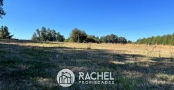 SE ARRIENDA CASA NUEVA EN CONDOMINIO SECTOR NIÁGARA