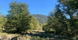 Vendemos maravillosa parcela en Malalcahuello