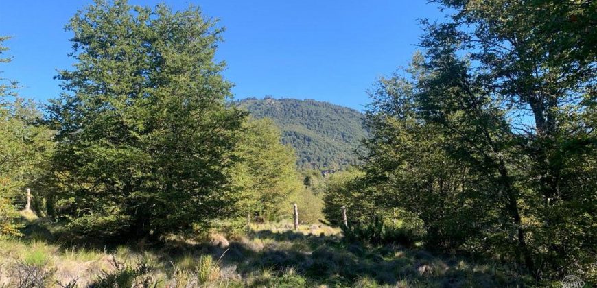 Vendemos maravillosa parcela en Malalcahuello