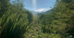 Vendemos maravillosa parcela en Malalcahuello