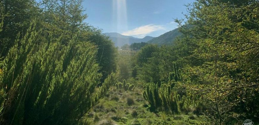 Vendemos maravillosa parcela en Malalcahuello