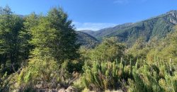 Vendemos maravillosa parcela en Malalcahuello