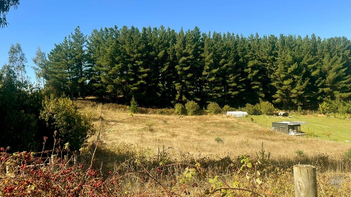 Vendemos parcela en tranquilo condominio Vendemos parcela en tranquilo condominio