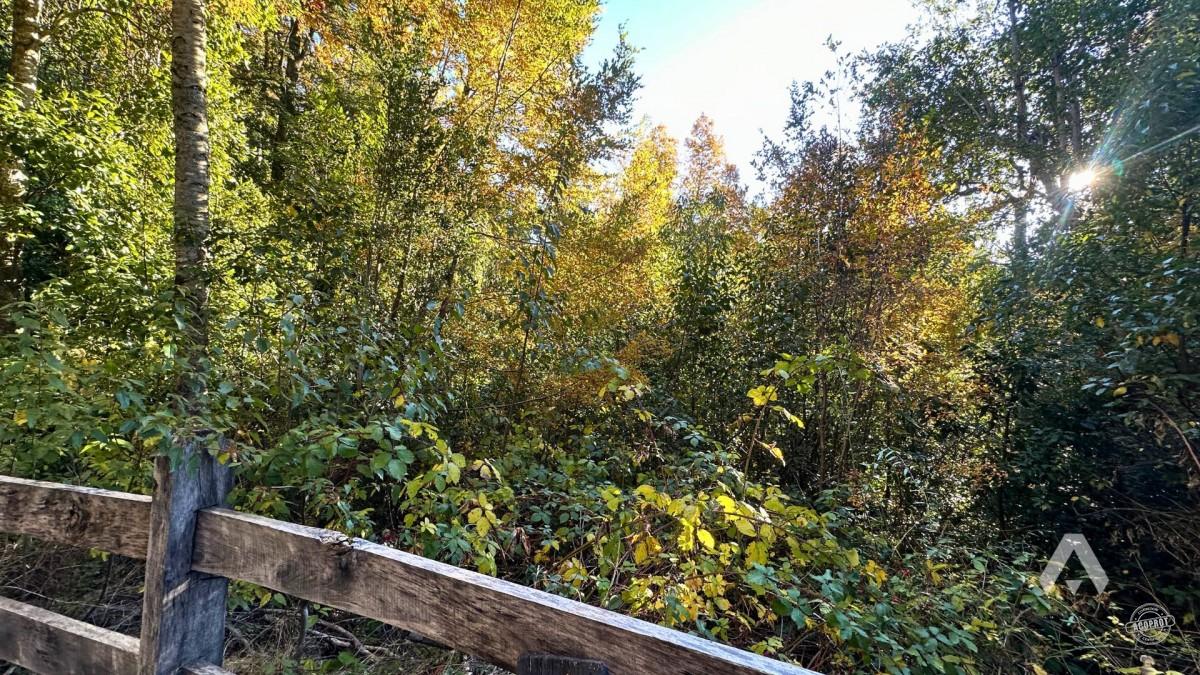 Parcela en venta Altos del Huife en Pucón