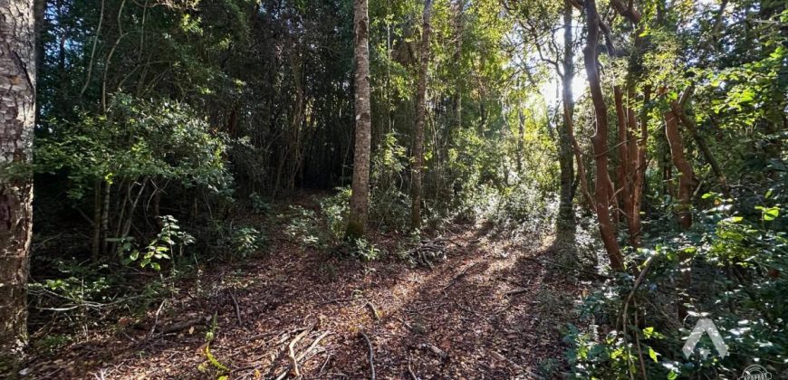 Parcela en venta Altos del Huife en Pucón